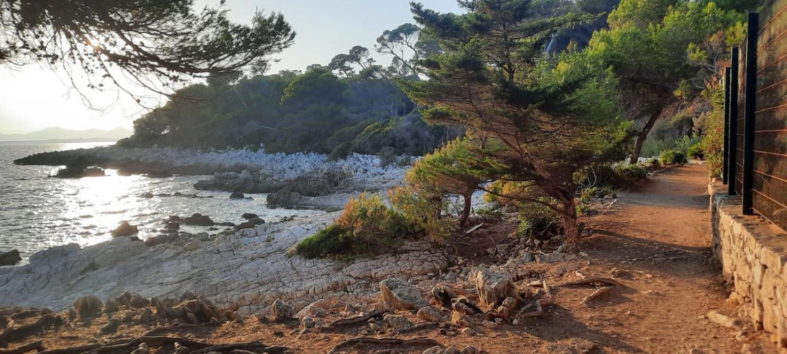 Studio Sun-Beach Avec Parking Et Jardin - 500M Des Plages De Juan Les Pins Antibes Zewnętrze zdjęcie