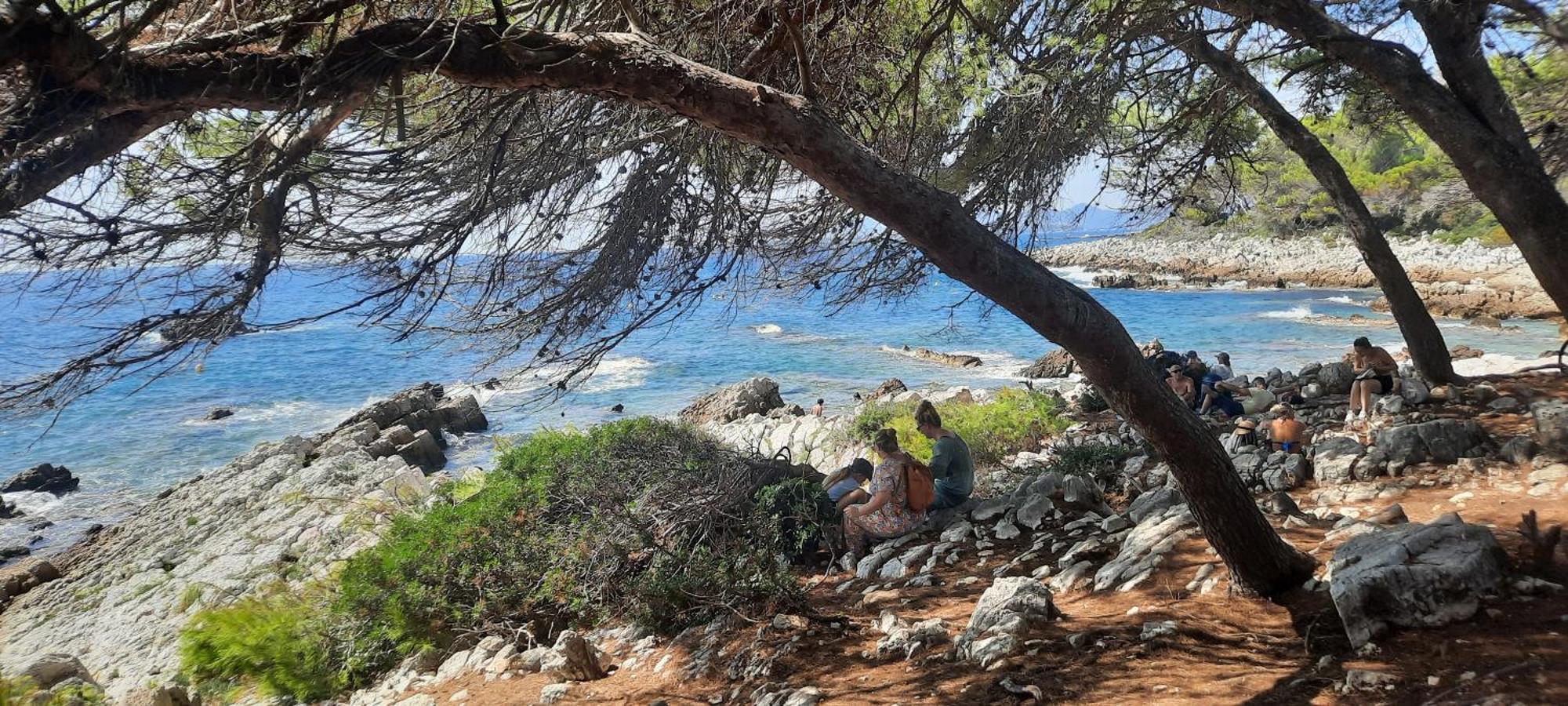 Studio Sun-Beach Avec Parking Et Jardin - 500M Des Plages De Juan Les Pins Antibes Zewnętrze zdjęcie